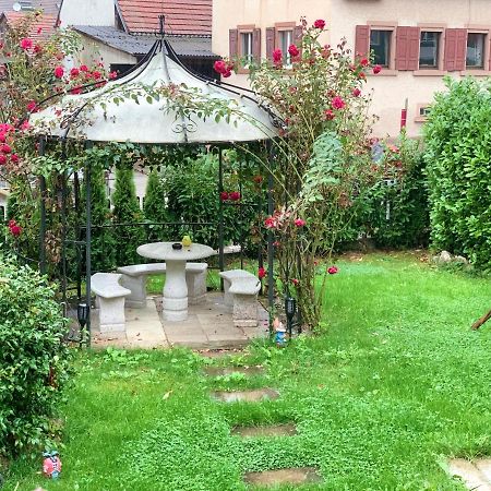 Ferienwohnung Feist Malterdingen Bagian luar foto