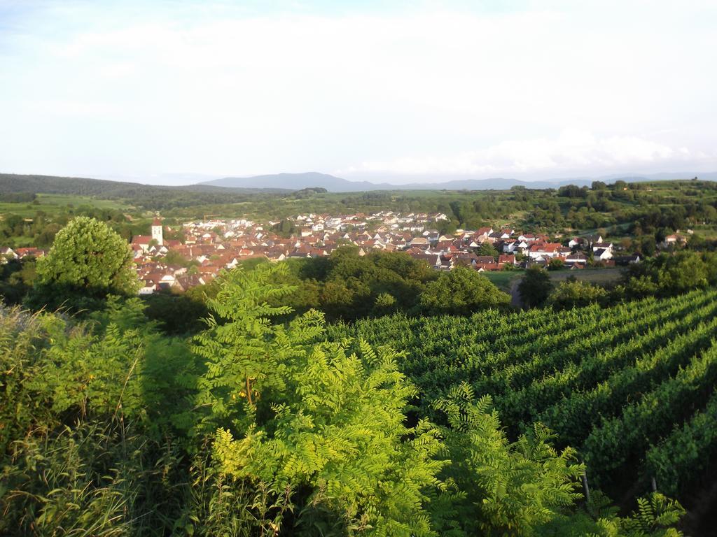Ferienwohnung Feist Malterdingen Bagian luar foto